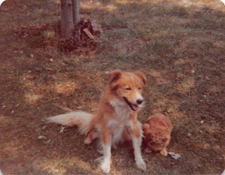 Fritz&tigger